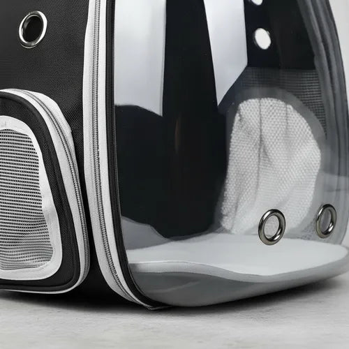 Mochila Transportadora para Gatos: Acolchada, Ventilada y de Diseño