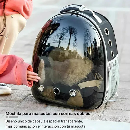 Mochila Transportadora para Gatos: Acolchada, Ventilada y de Diseño